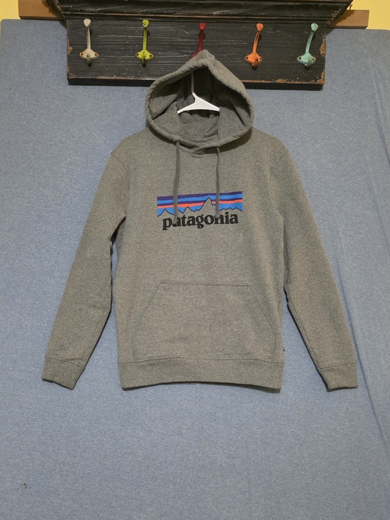 Patagonia Other - Patagonia Men's Gray Pullover Hoodie with Logo